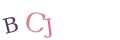 CAPTCHA 2