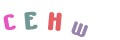 CAPTCHA 2
