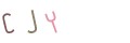 CAPTCHA 2