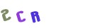CAPTCHA 2