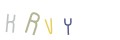 CAPTCHA 2