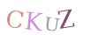 CAPTCHA 2