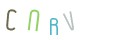 CAPTCHA 2