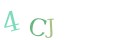 CAPTCHA 2