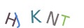 CAPTCHA 2