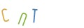 CAPTCHA 2