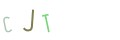 CAPTCHA 3