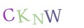 CAPTCHA 3