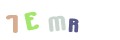 CAPTCHA 3