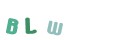 CAPTCHA 4