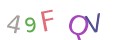 CAPTCHA 4