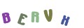 CAPTCHA 4