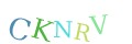 CAPTCHA 4