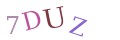 CAPTCHA 5