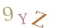 CAPTCHA 5