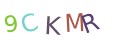 CAPTCHA 5