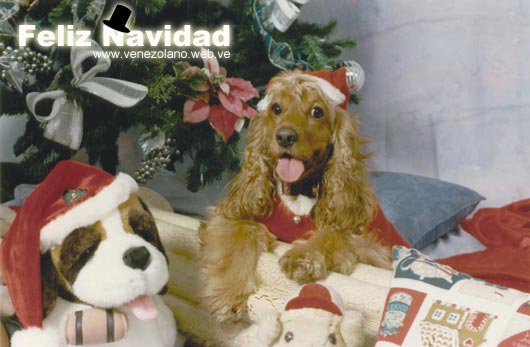 Feliz Navidad a todos los venezolanos y amigos, Navidad en Venezuela