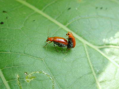 Para no perder la constumbre... el Humor hace bien Para no perder la constumbre... el Humor hace bien