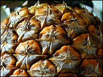 pineapple, pineapple and cancer, medicina natural para el cancer, prevencion del cancer, lucha contra el cancer, medicina contra el cancer, remedio contra el cancer, combatir el cancer, concha de pi�a, hojas de la pi�a, pi�a, pineapple stems