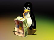 Linux vs Windows