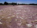 La escasez mundial de agua es irreversible