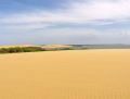 Isla de Zapara en el estado Zulia: Playas, Medanos y Relax