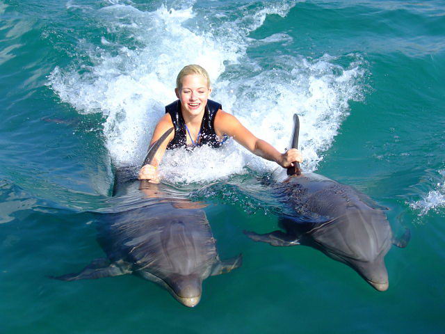Dolphin Cove. Dolphin Cove.