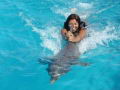 Nado con delfines y leones marinos en la Isla de Margarita