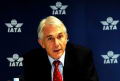 Tony Tyler: Las aerolneas necesitan su dinero