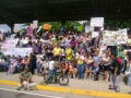 Marcha nacional en contra del maltrato animal 