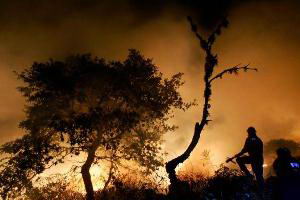 En Venezuela se han registrado un aproximado de cinco mil incendios forestales.