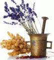 Aromaterapia: alcanza el bienestar con olores