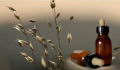 Flores de Bach: un sistema florar curativo