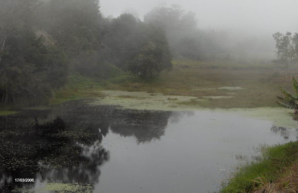 Entre la bruma de la neblina, el cobijo de los árboles y el canto alegre de los pájaros está La Pantanosa, laguna de La Trampa. Se cuenta que sus aguas, del color de la infusión de té, han servido a muchas familias para la preparación de la comida, para su aseo personal y para el riego. Entre la bruma de la neblina, el cobijo de los árboles y el canto alegre de los pájaros está La Pantanosa, laguna de La Trampa. Se cuenta que sus aguas, del color de la infusión de té, han servido a muchas familias para la preparación de la comida, para su aseo personal y para el riego.