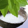 Stevia: sustituto natural de la azcar con propiedades medicinales