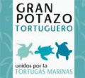 Grupos conservacionistas realizarn Gran Potazo Tortuguero