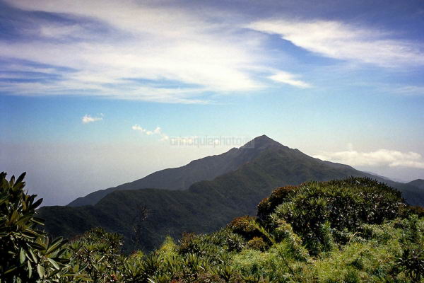 Pico Naiguat en el Parque Nacional El vila.