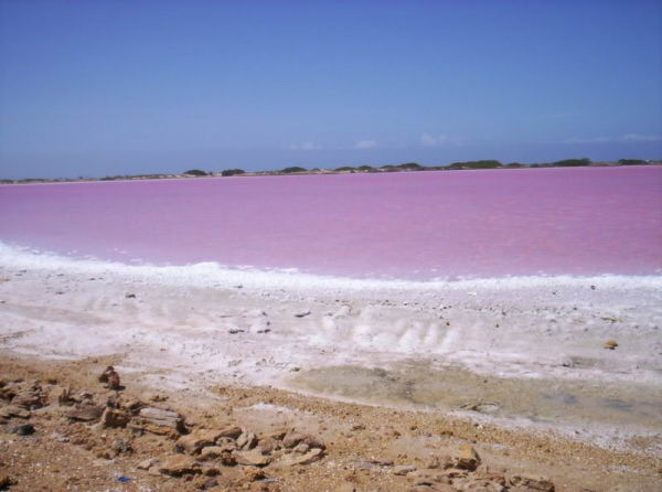  Salinas de Cumaraguas, ubicadas al noroeste de la Pennsula de Paraguan.