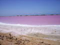 Salinas de Cumaraguas (Falcn)