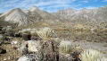 Parque Nacional Sierra de La Culata (Mrida, Trujillo)