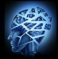 Puede un tumor cerebral o una lesin determinar nuestro comportamiento?