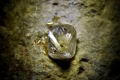 La Antrtida podra estar llena de diamantes