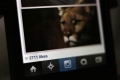 Un virus ataca Instagram con "falsos me gusta"