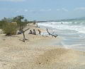 Playa La Guardia (Margarita)