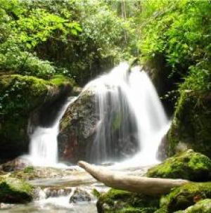 Rio en el Parque La Mucuy.