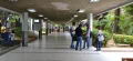 LUZ prev reiniciar clases el 17 de marzo