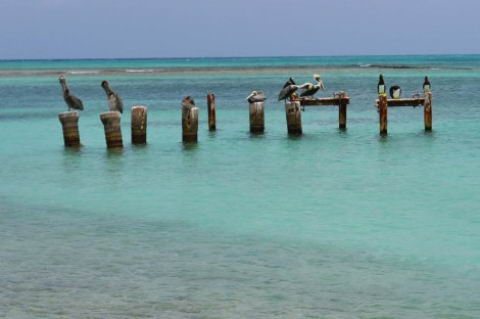 Cayo Crasquí. Cayo Crasquí.