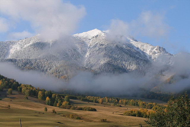 Regin Altay de Rusia.