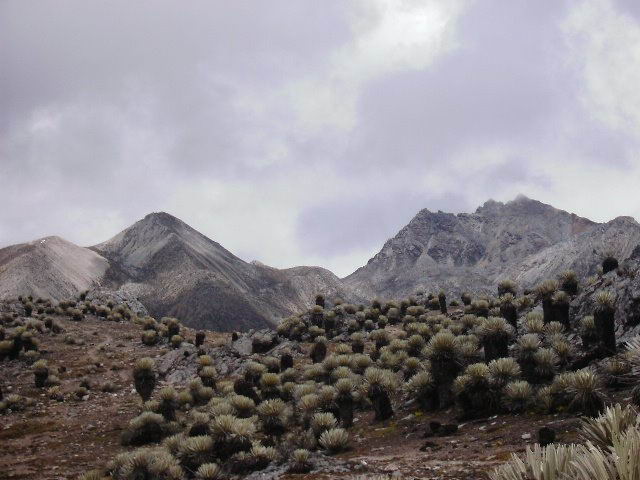 Pico Piedras Blancas.