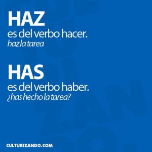 Has y haz.